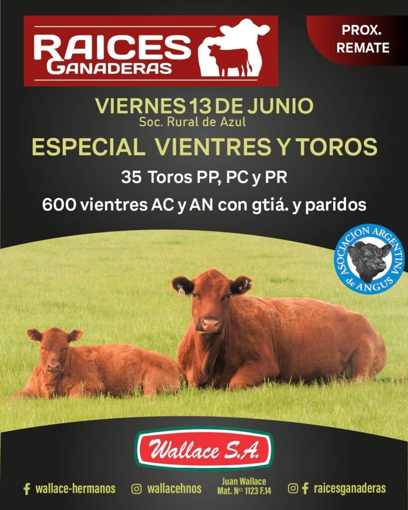 Imagen de WhatsApp 2025-05-19 a las 12.41.47_2828d0da