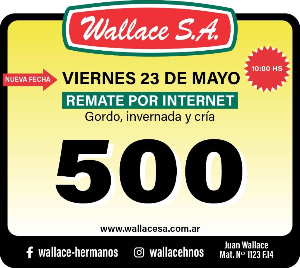 Imagen de WhatsApp 2025-05-20 a las 13.03.10_4fcf501e