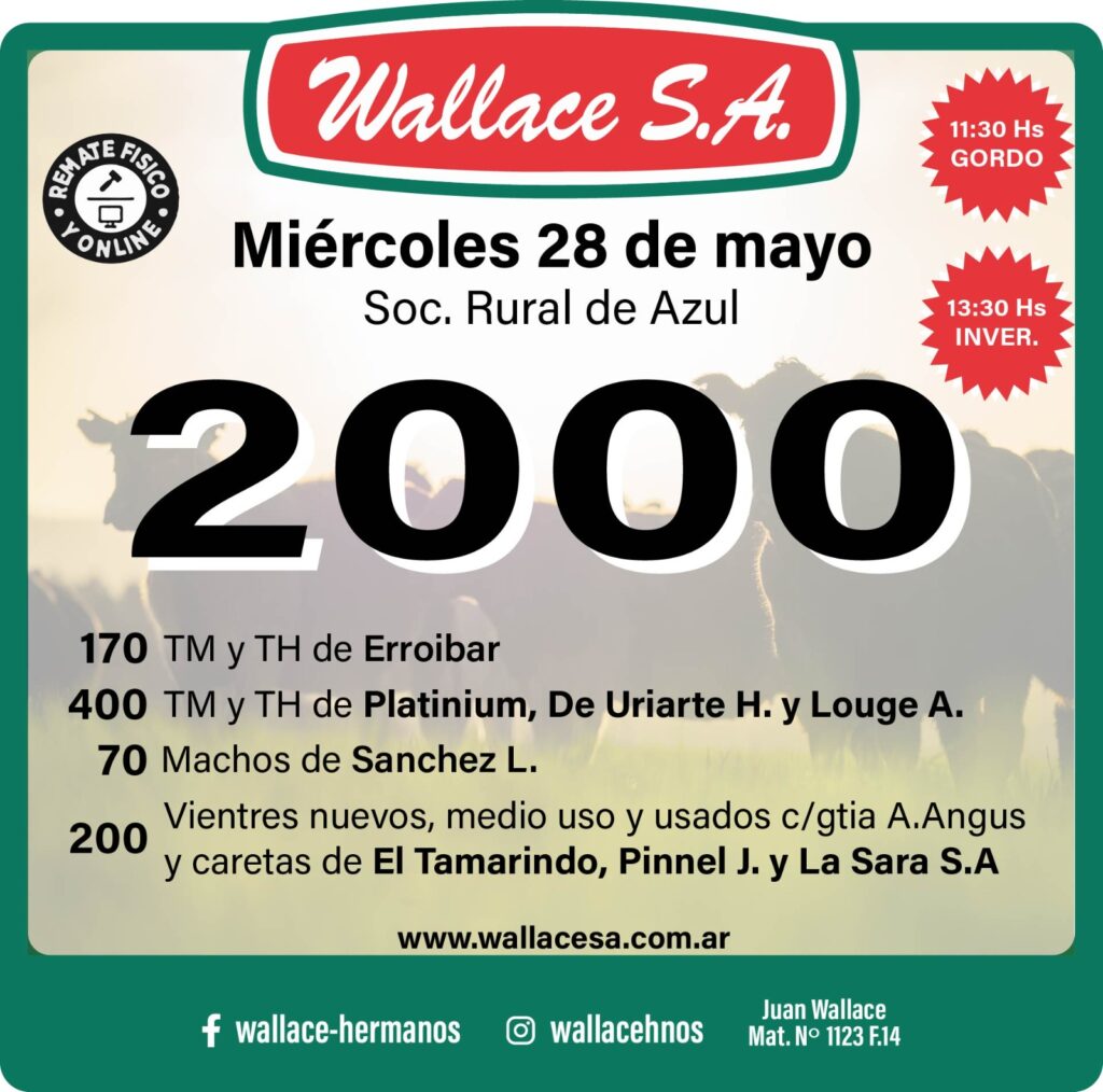 Imagen de WhatsApp 2025-05-22 a las 10.37.21_1cd5d096