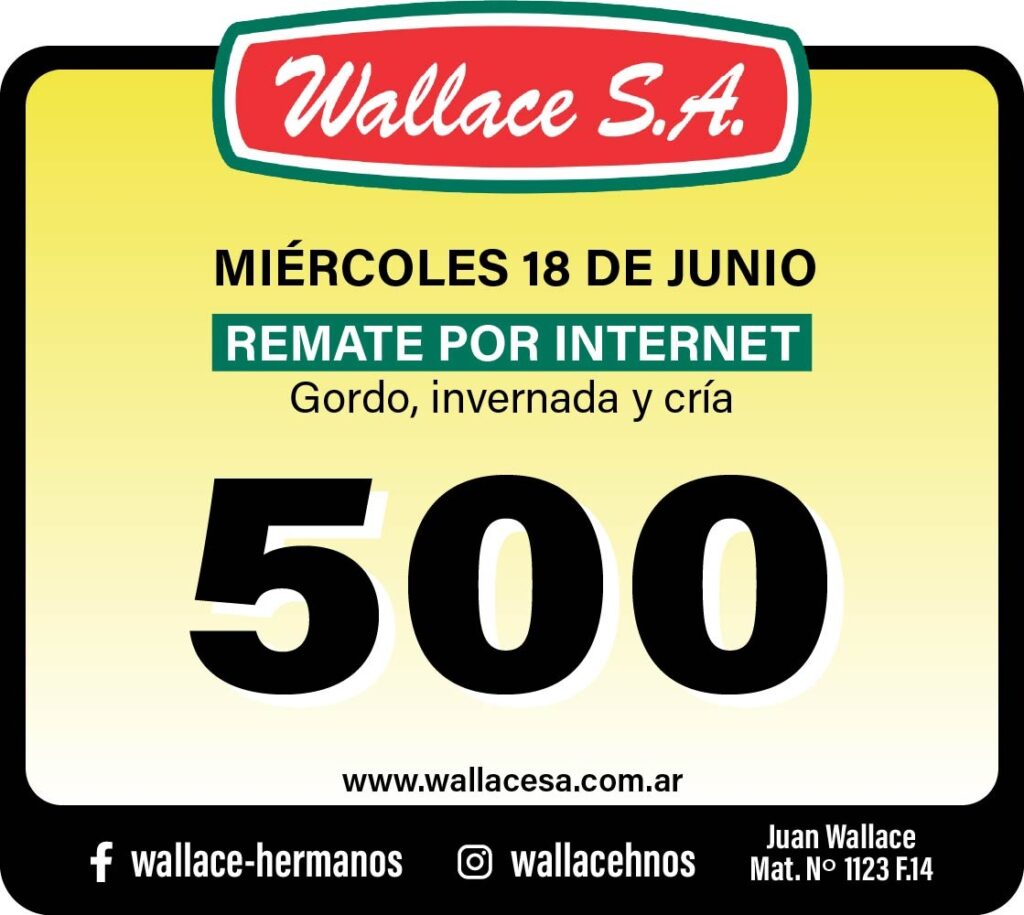 Imagen de WhatsApp 2025-05-30 a las 08.30.39_65bc6a24