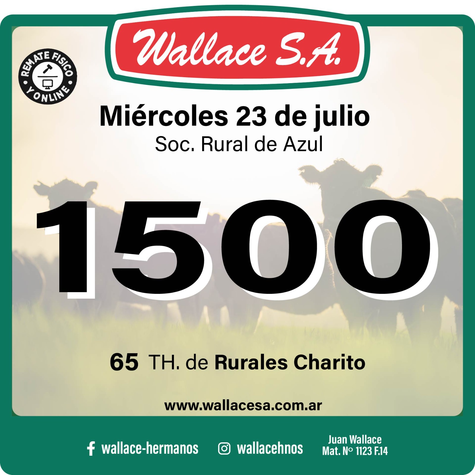 Imagen de WhatsApp 2025-07-07 a las 09.00.59_03c98e1b