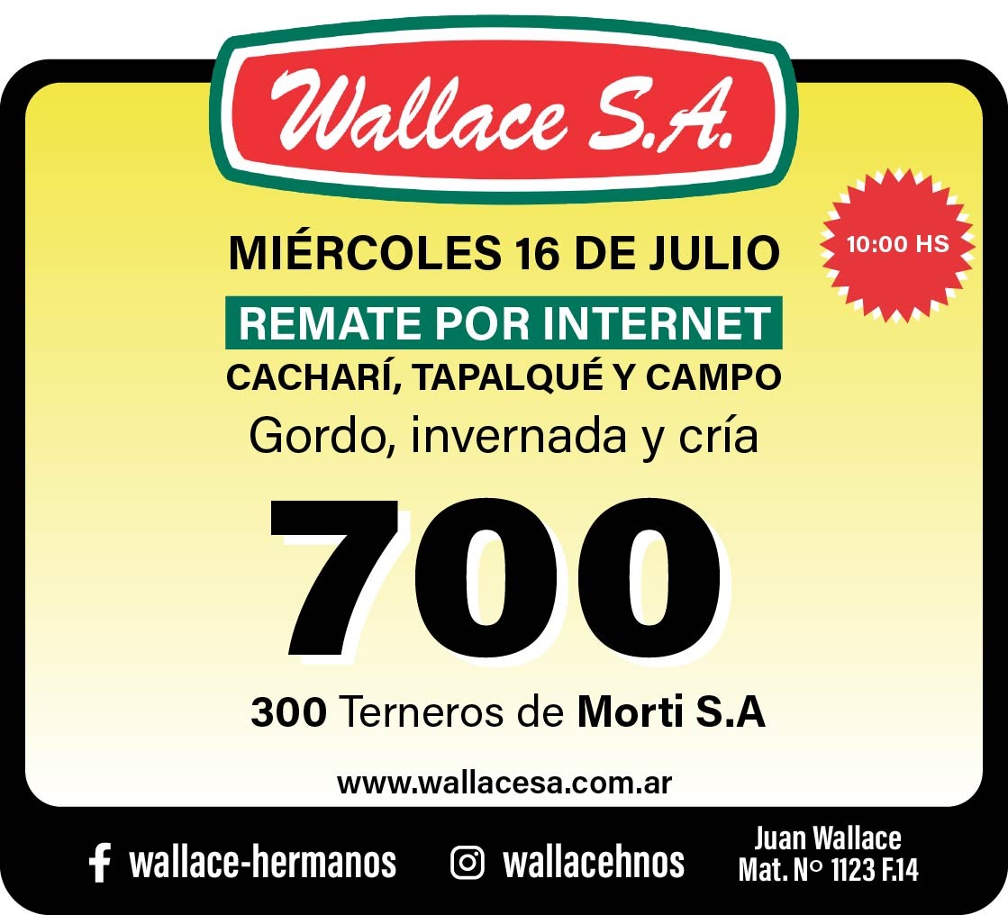Imagen de WhatsApp 2025-07-07 a las 09.00.59_4ae338ed