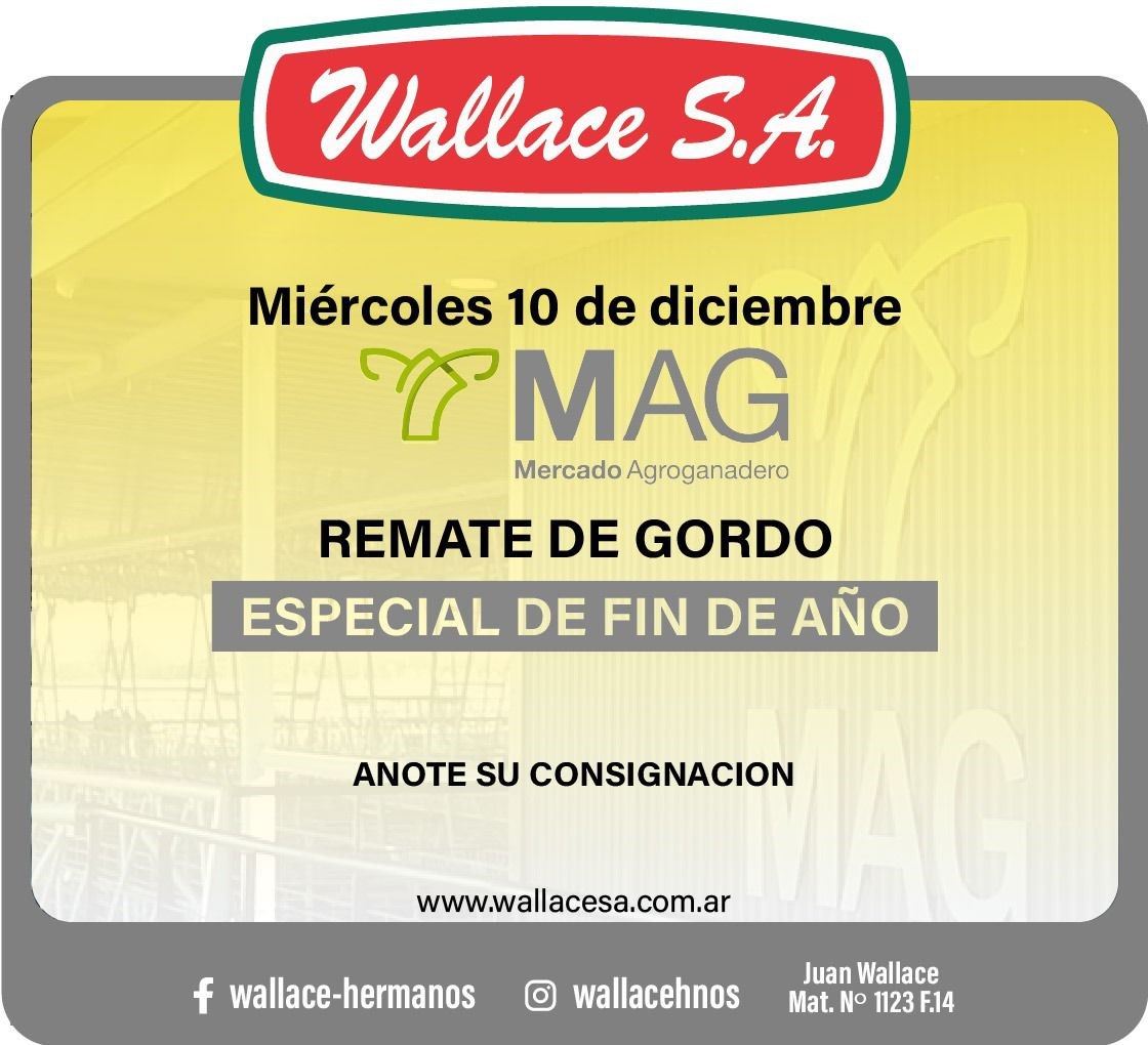 2fbd3d79-c79f-4e5e-a98a-896838ab82c9LL