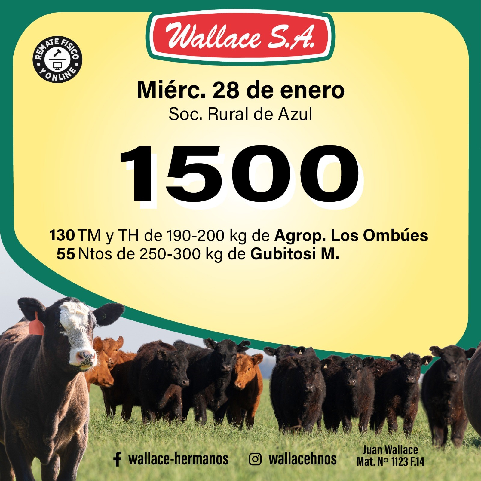 80361373-e7e5-45d2-b3af-6dea1310fedc2