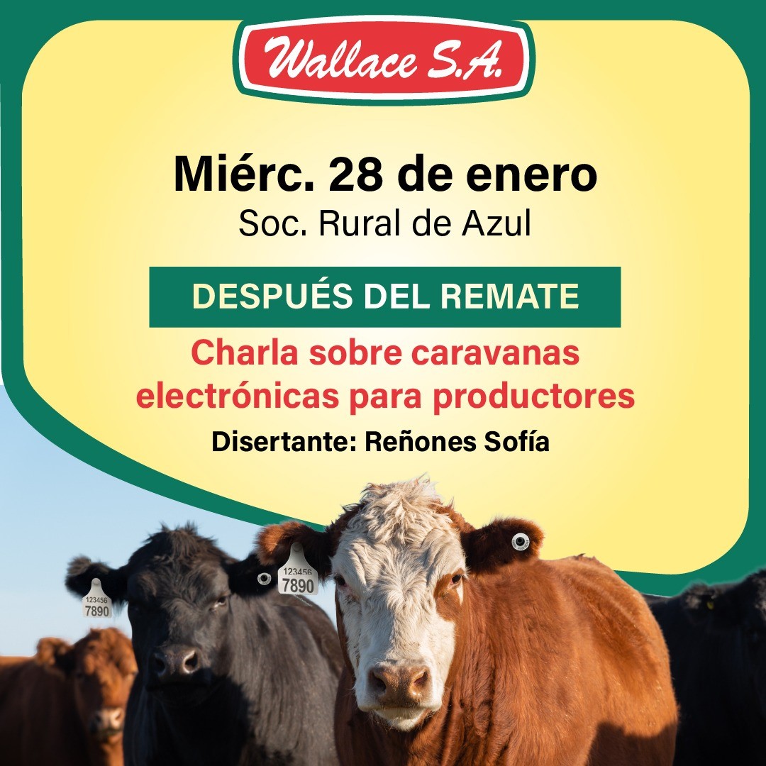 81294650-a3d0-4b11-ac7f-0d2a9ca88f32