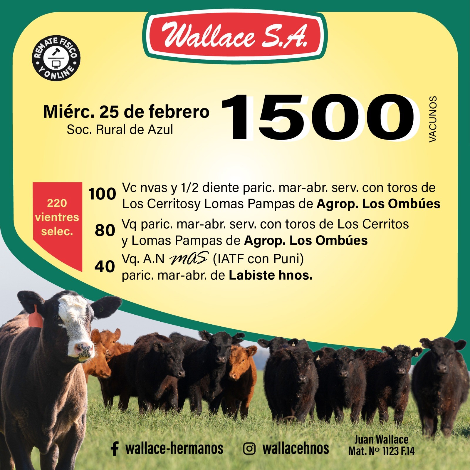 WhatsApp Image 2026-02-05 at 9.40.54 AM