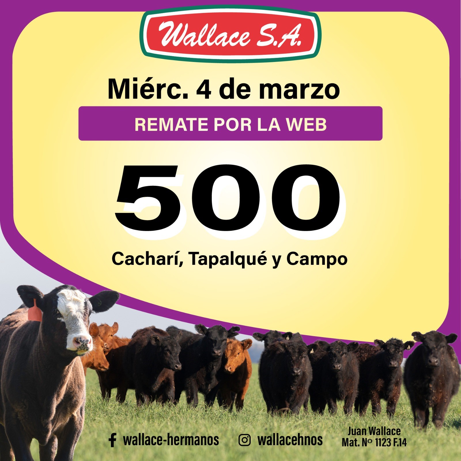 WhatsApp Image 2026-02-10 at 10.53.06 AM