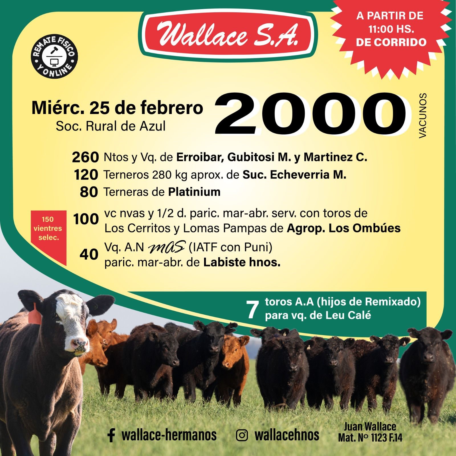 bab2d250-3403-4d00-bae6-d7df23eddc67