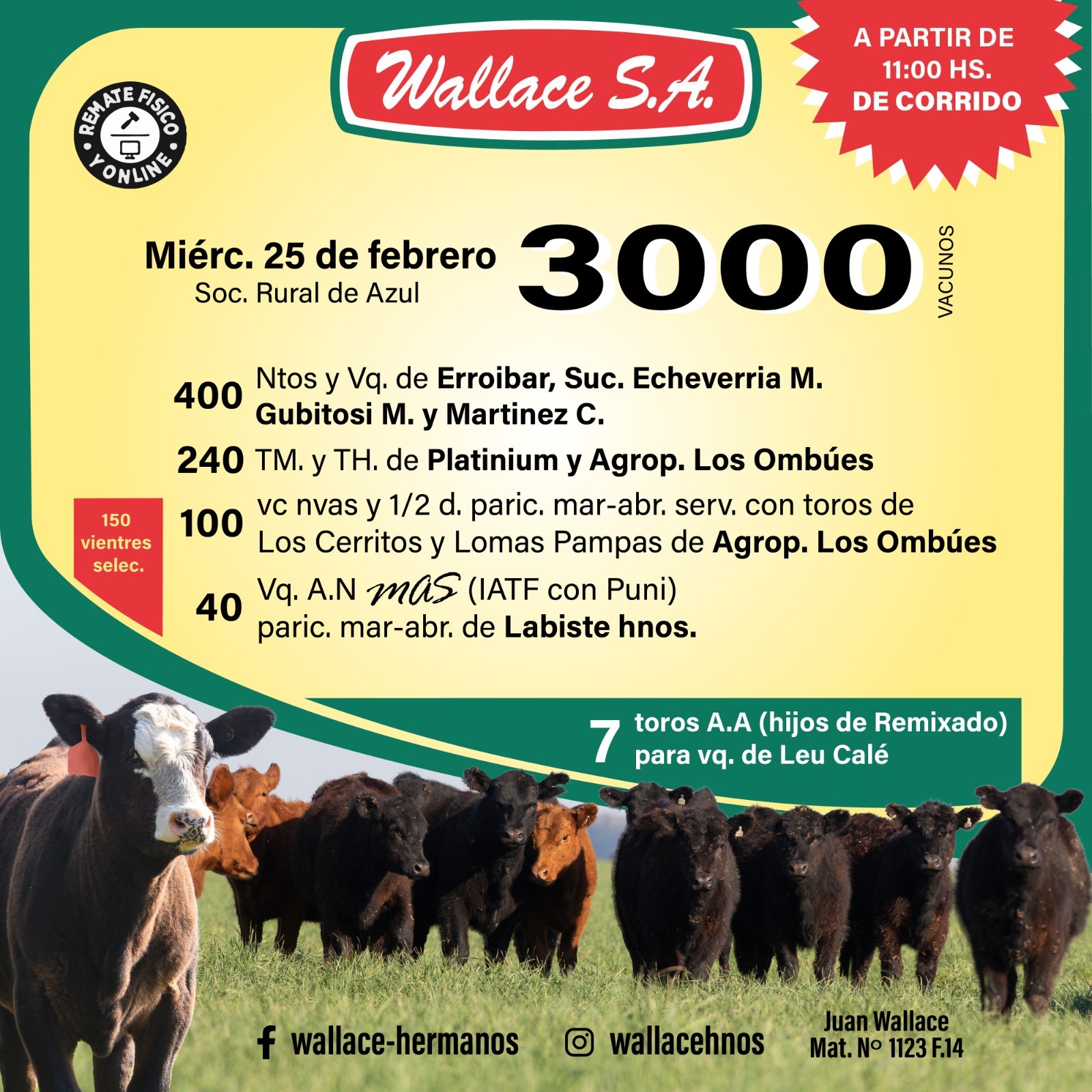 e919aa3b-1e6e-426e-b3bd-21ec3bb1c89d