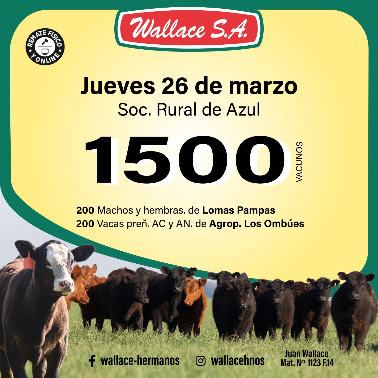 166176a4-d91b-49b6-8873-577b299ce082