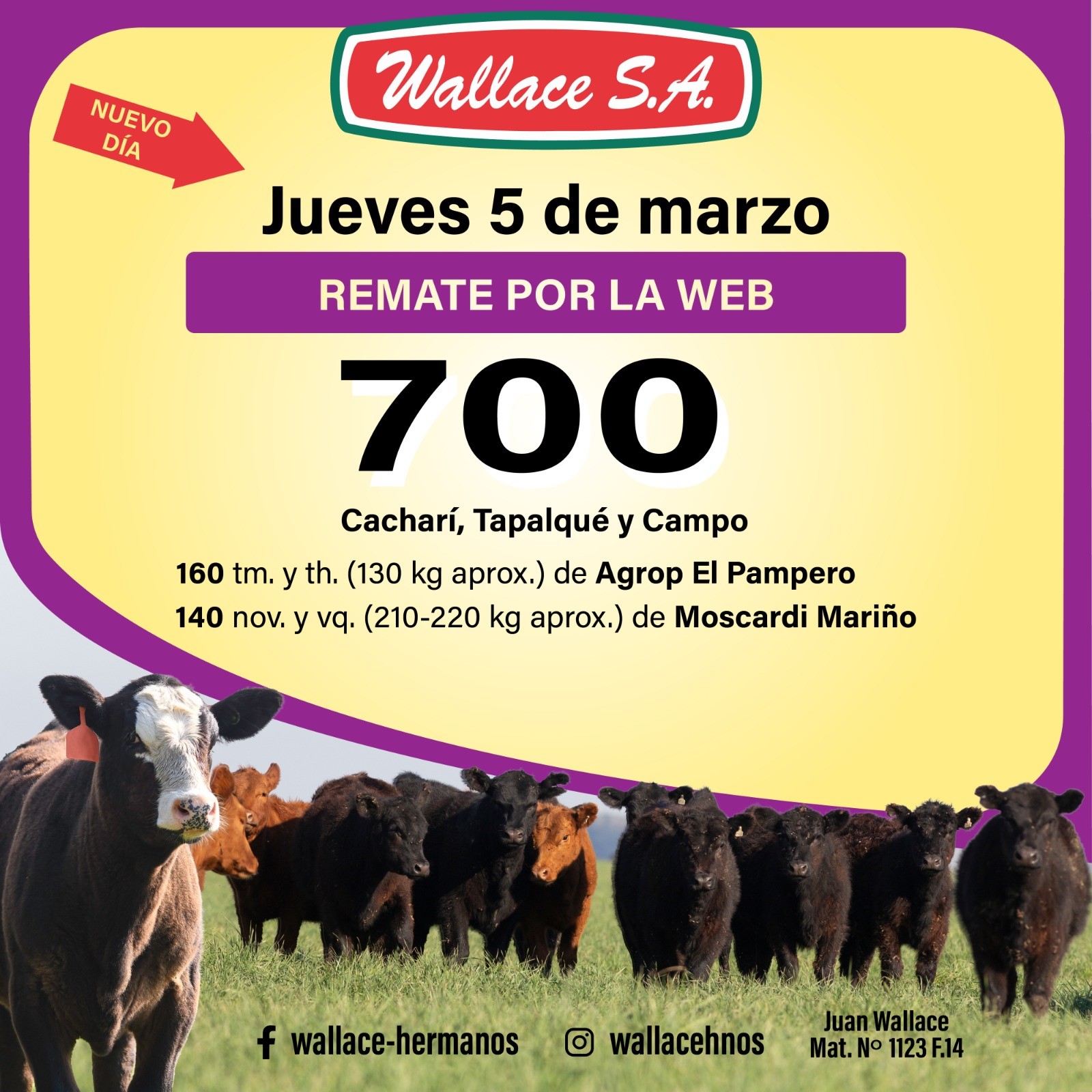 1c53aee7-a06f-4aa8-b891-abcd6612a5dc