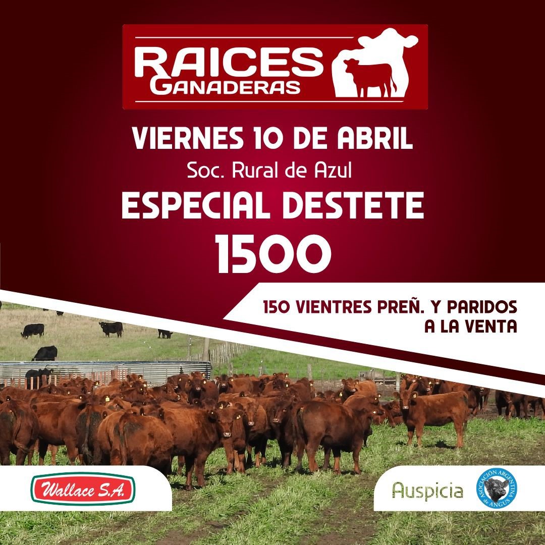 900642dc-44fa-407d-8ef6-51ed761d371f22222