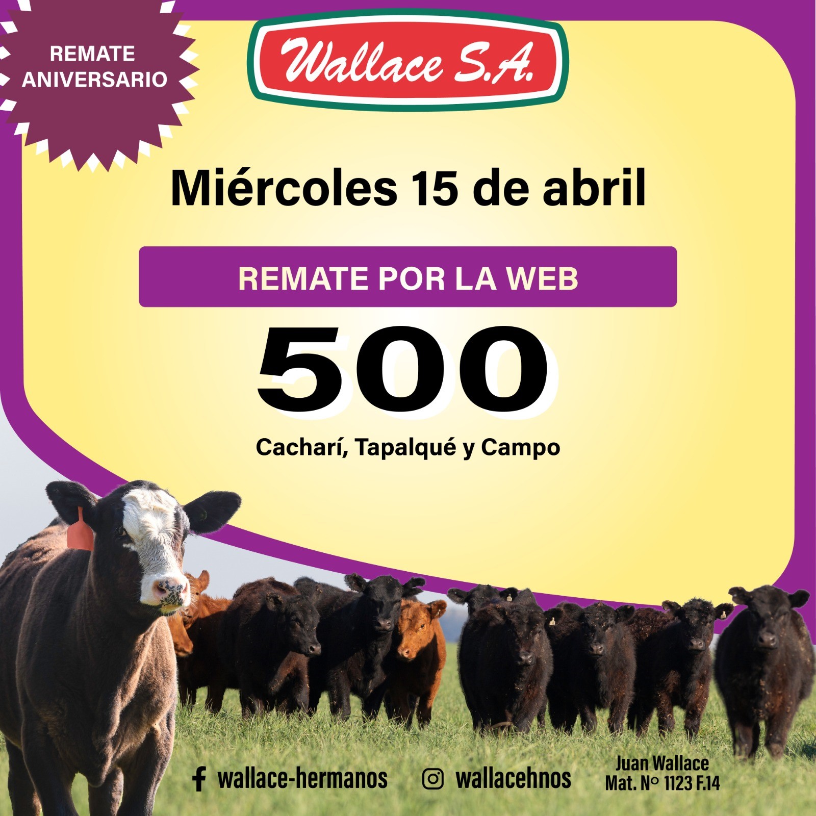 fc57f58a-1c42-4b9c-8b58-046cda0d1a41