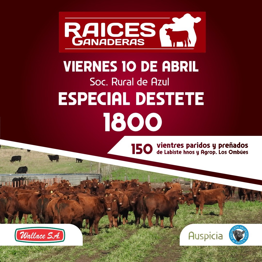 fce99d59-29a5-4d0a-90c1-0a97f91624b3