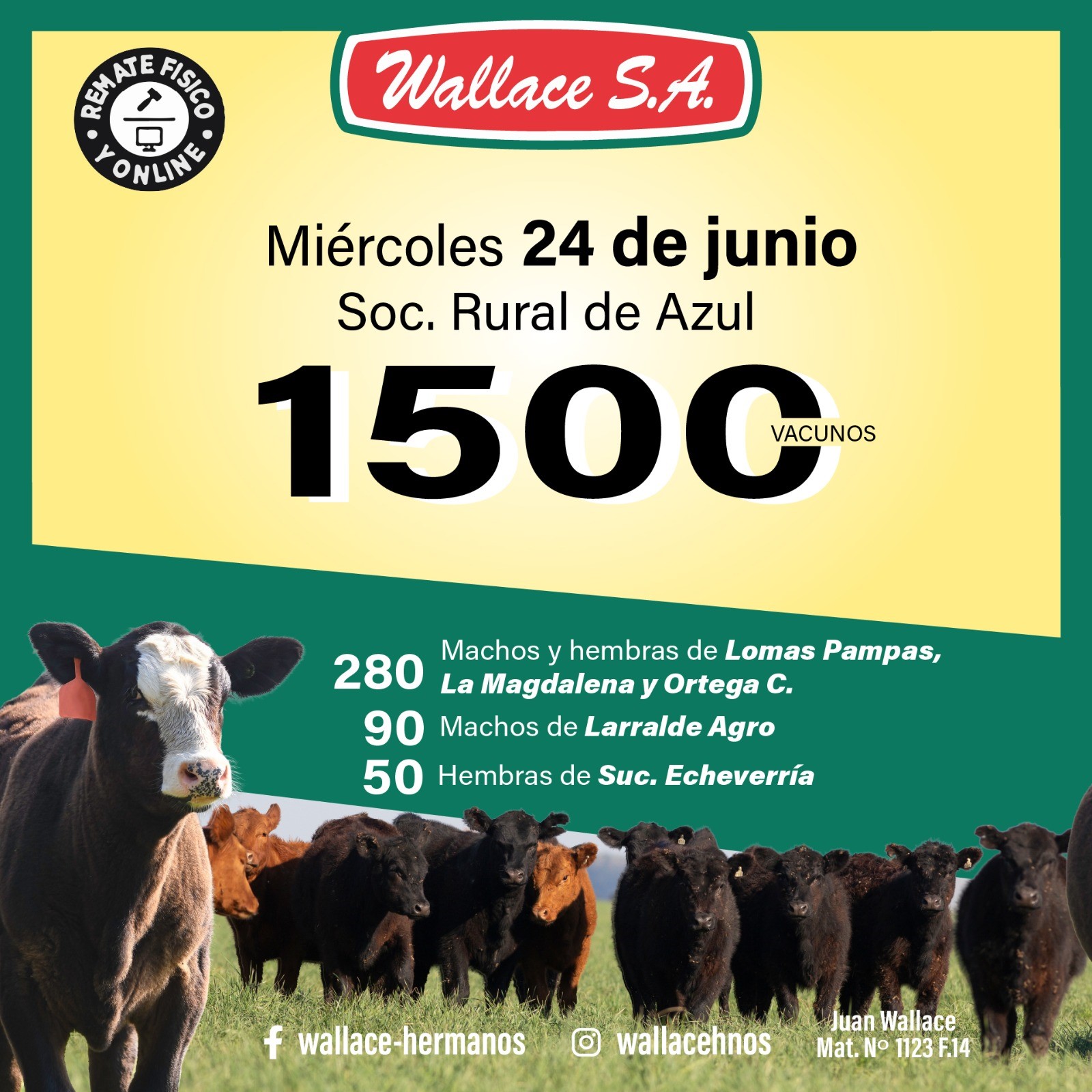 5db9f557-02ca-4afd-a733-982a40f12f2f