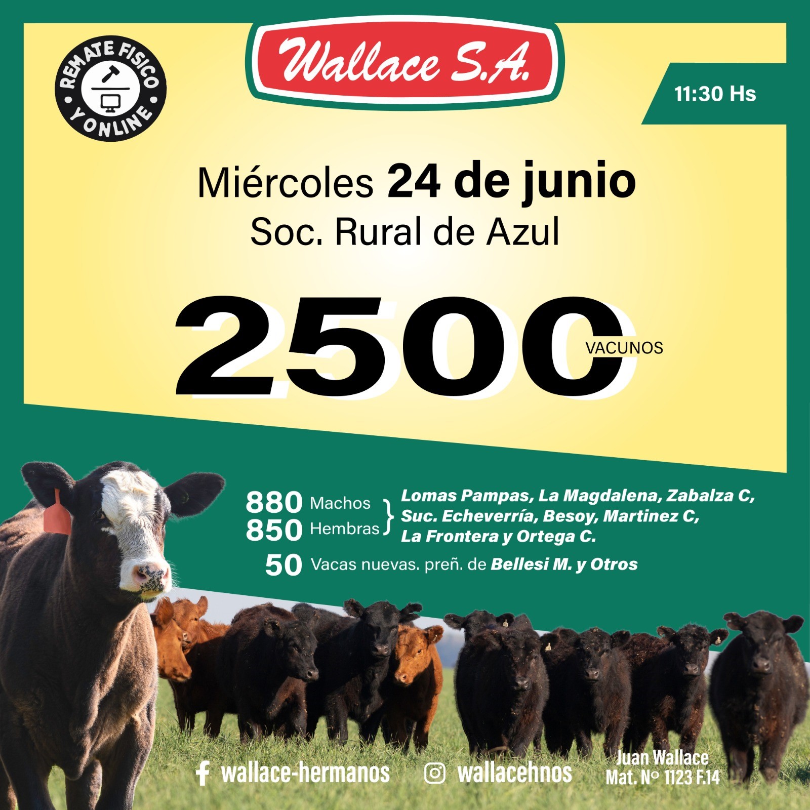 e36475ac-9a95-4879-8c75-85a77524e6eb