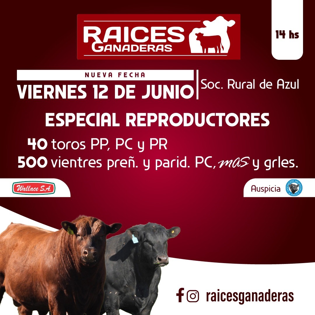 fc5f517a-1a24-4460-9f0e-9858b1c051af--