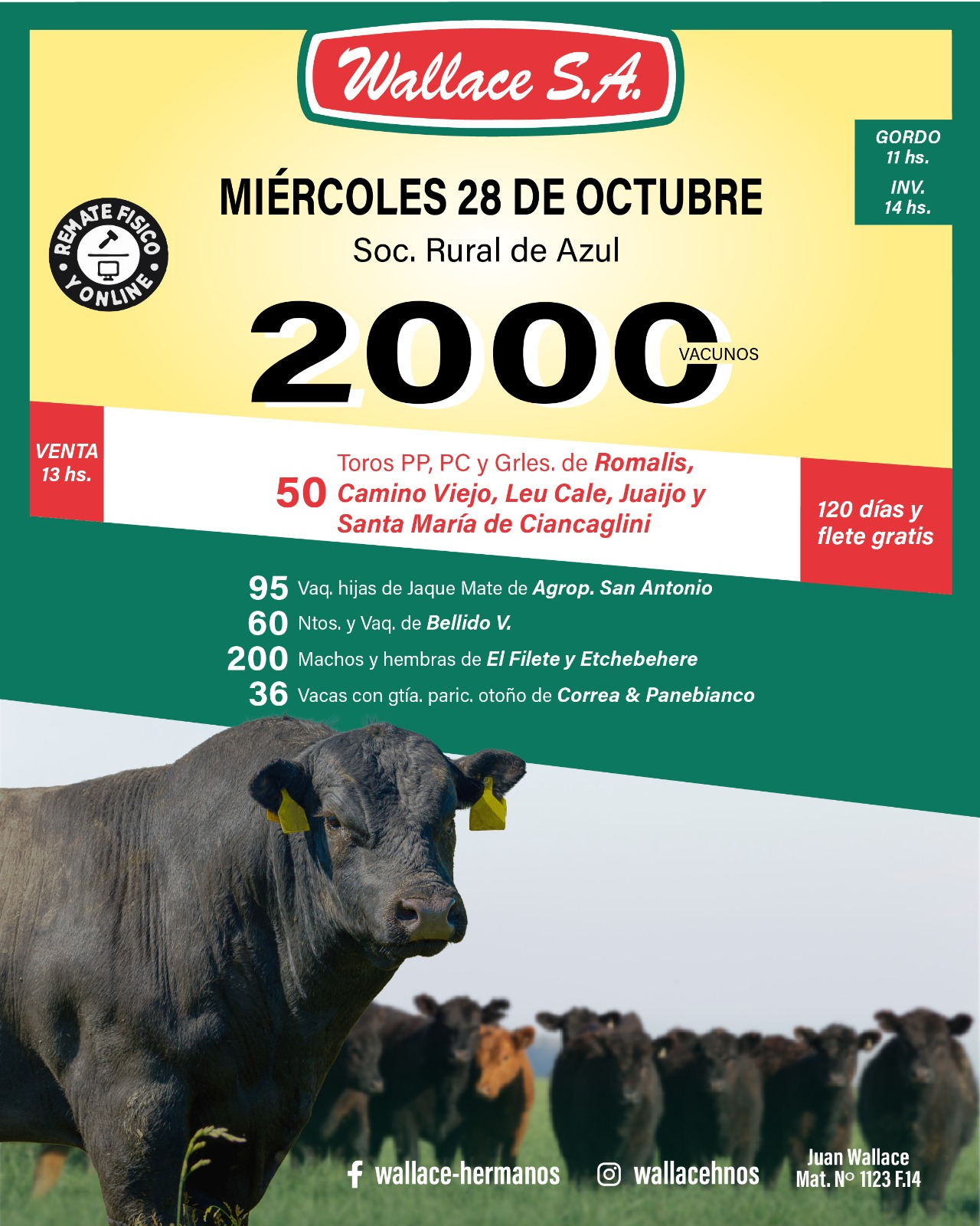 1713780e-0666-4178-aba0-88f4e905002f