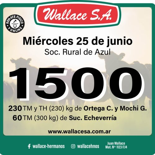 Imagen de WhatsApp 2025-06-17 a las 09.07.22_f97694bd