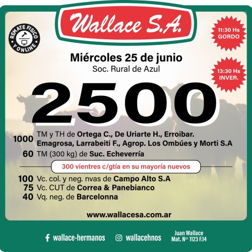 Imagen de WhatsApp 2025-06-21 a las 12.59.58_d7e523e2